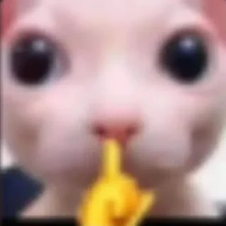 🤫