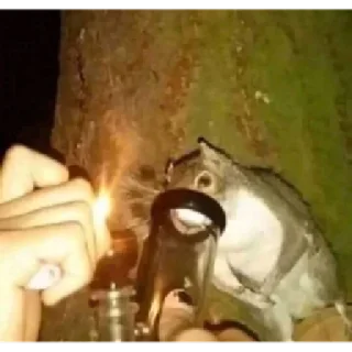 🥦
