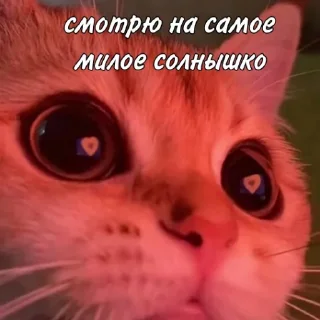 😍