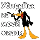 👆