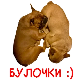 🥖