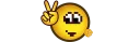 ✌