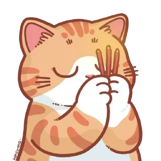 🐱
