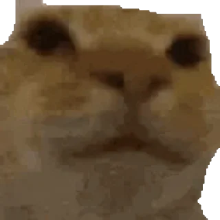 Relanit GIFs
