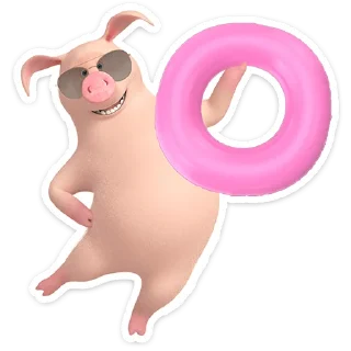 🐷
