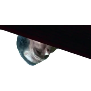👀