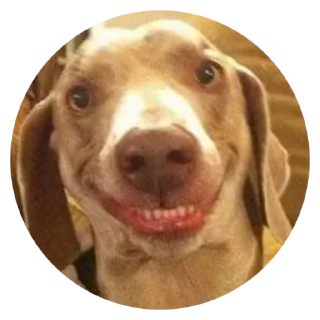 😬