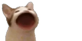 ▶️