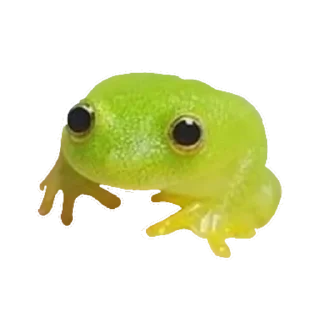 🐸