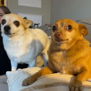 😐