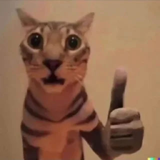 👍