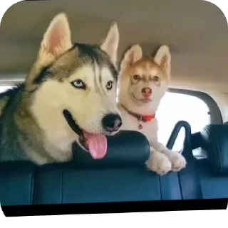 👍