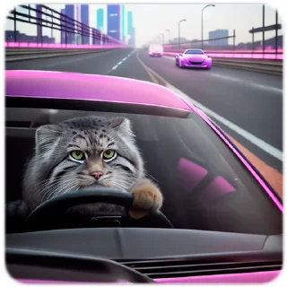 🛣