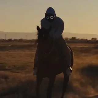 👤