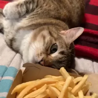 💕