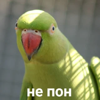 🤨
