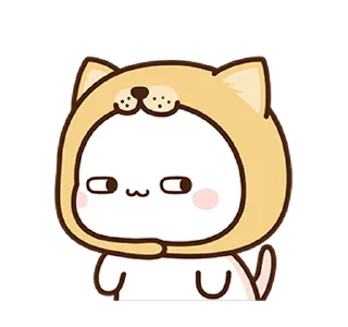 🦊