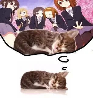 😶‍🌫️
