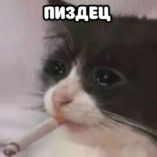 🥺