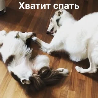 ❌