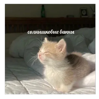 🥰