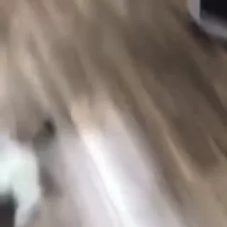 🌟