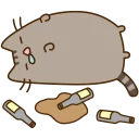 🐱