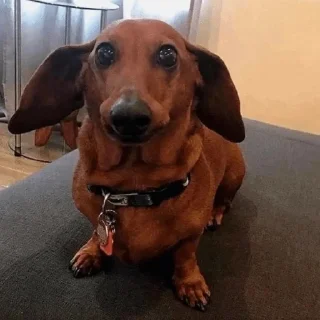 😳