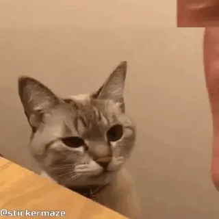 🤝