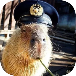 👨‍✈️