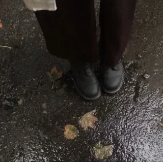 🍂