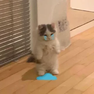 😢
