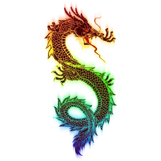 🐲