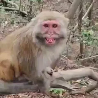 😈