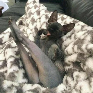 😏