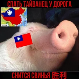 🇹🇼