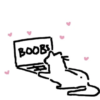 ✨