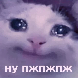 🥺