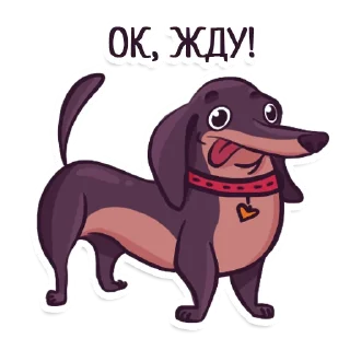 Dachshund taxa dog @artrarium