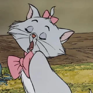💗