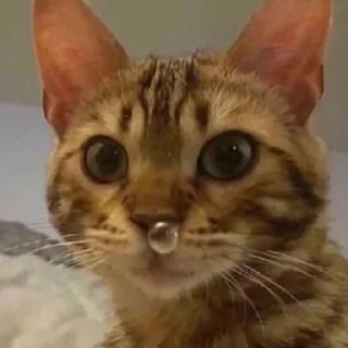 🤨