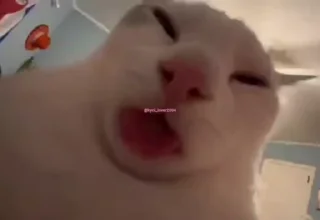 😛
