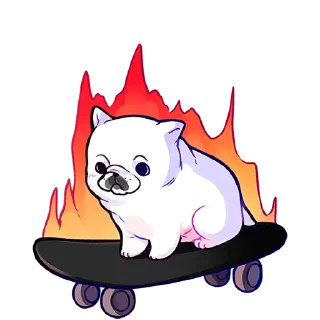 🛹