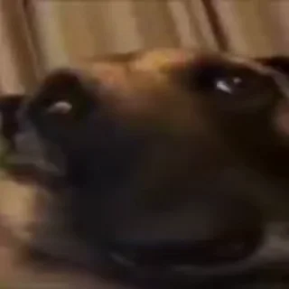 😳