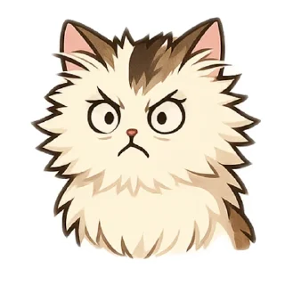 🐱