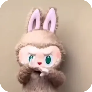 🧦