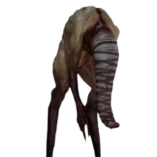 🍖