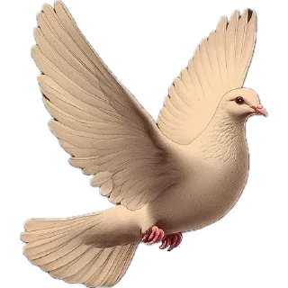 🕊️