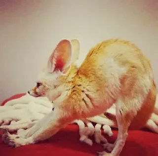 😯
