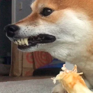 😡